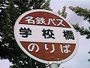 wZ